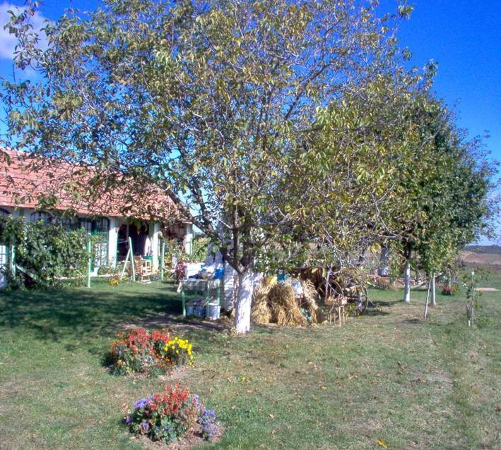 znacaj poljoprivrede na malim porodicnim gazdinstvima